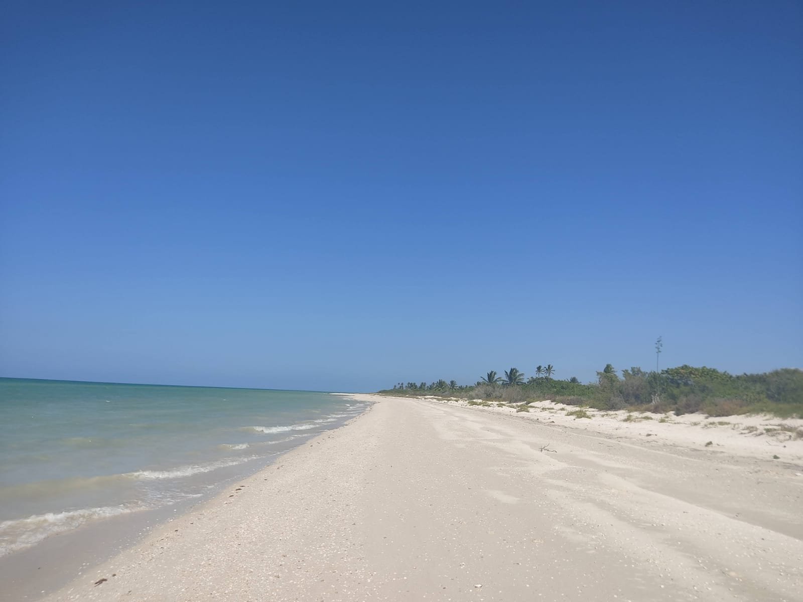 Desarrollo residencial en Progreso